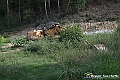 VBS_5464 - C'è un mare di velluto verde! E tu che sognavi di andare lontano... Quanta meraviglia, quì!